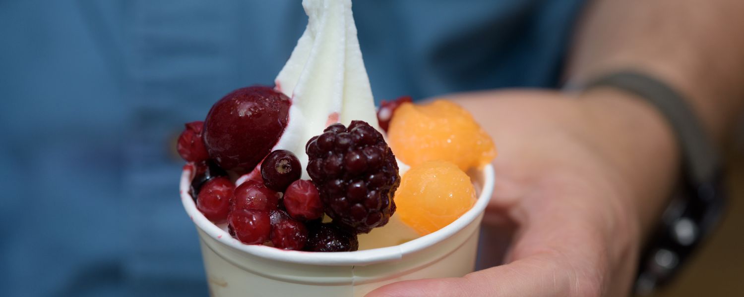 The Best Frozen Yogurt Toppings Bubblebase UK